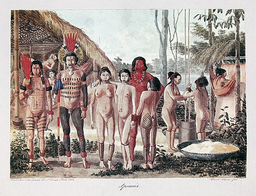 Apiacás. Habitation des Apiacás sur l'Arinos..., 1828, Hercule Florence