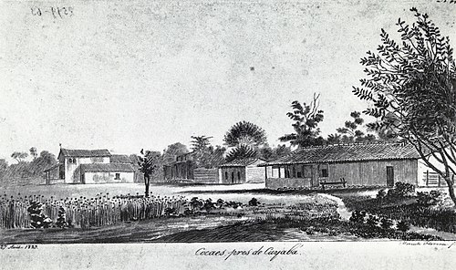 Cocaes, pres de Cuyabá., 1827, Hercule Florence