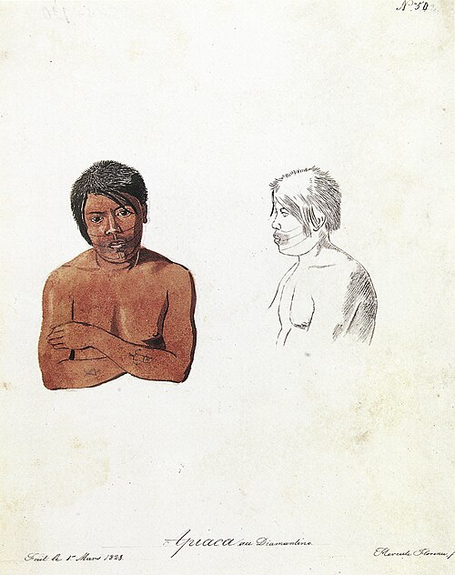 Nº 50. Apiacá au Diamantino., 1828, Hercule Florence