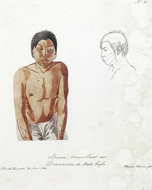 Nº 56. Apiacá, travaillant au Diamantino de Matto-Grosso., 1828, Hercule Florence
