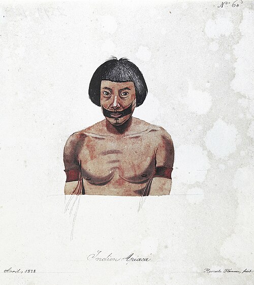 Nº 60. Indien Apiacá., 1828, Hercule Florence