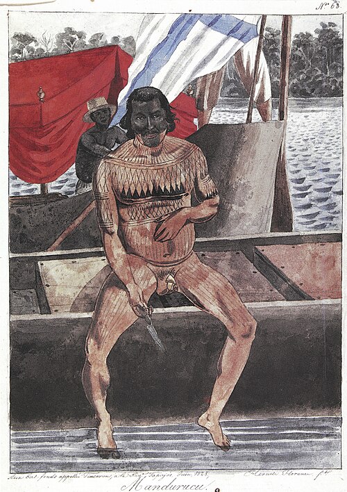 Nº 68. Mandurucú. Aux bas-fonds appellés Tiacoron, à la Riv. Tapajós..., 1828, Hercule Florence