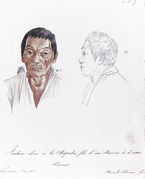 Nº 7. Indien eléve á la Chapada, fils d'un Paresis et d'une Bororo., 1827, Hercule Florence