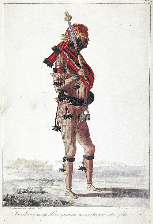 Nº 71. Tucháua (Principal) Mandurucu en costume de fête., 1828, Hercule Florence