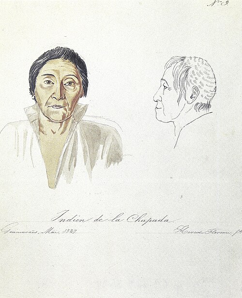 Nº 9. Indien de la Chapada., 1827, Hercule Florence
