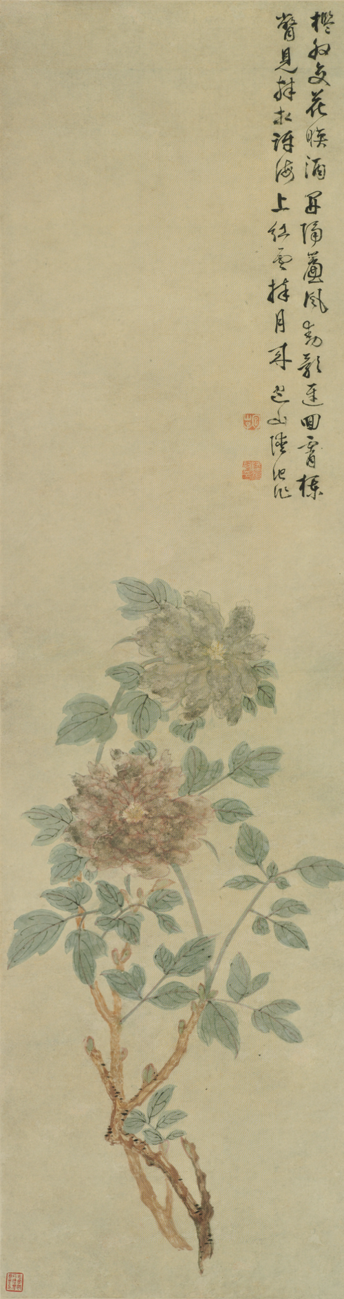 陆治牡丹图轴, , Lu Zhi