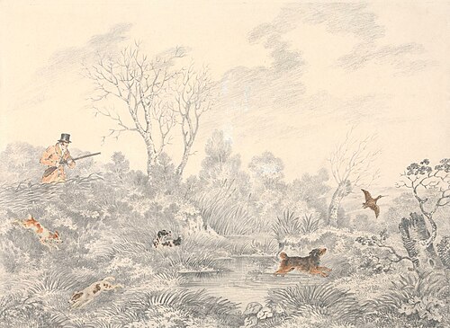 Snipe Shooting, , Henry Thomas Alken