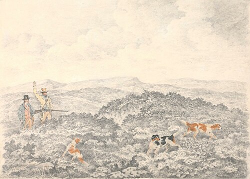 Grouse Shooting, , Henry Thomas Alken