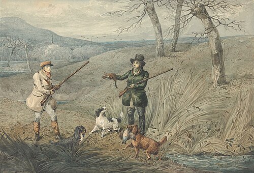 Wild Duck Shooting, , Henry Thomas Alken