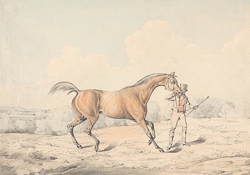 A Groom Leading a Bay Horse, , Henry Thomas Alken