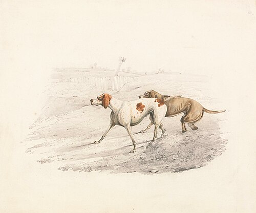 Two Pointers, Facing Left, , Henry Thomas Alken