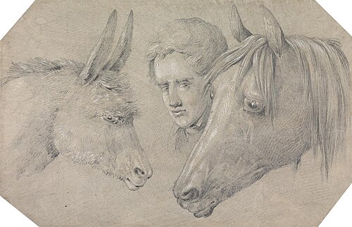Head of a Stable Lad, Looking Between the Heads of a Horse, on His Left, and a Donkey, on His Right, , Henry Thomas Alken