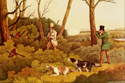 Pheasant Shooting, , Henry Thomas Alken
