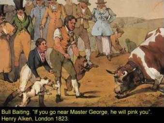 Bullbaiting, , Henry Thomas Alken