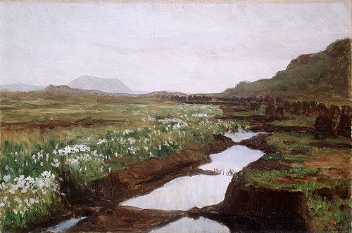 Study of a Peat Bog on Jæren, 1897, Kitty Lange Kielland