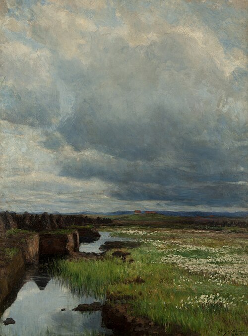 Torvmyr, 1895, Kitty Lange Kielland