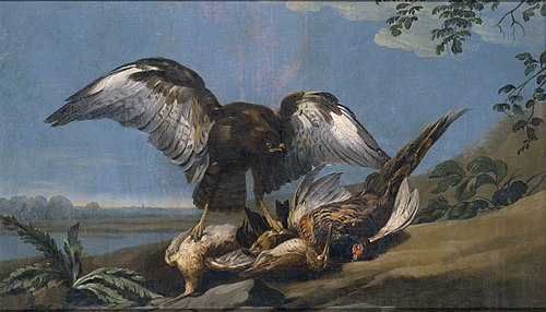 Kite with a Group of dead Birds, 1774, José del Castillo