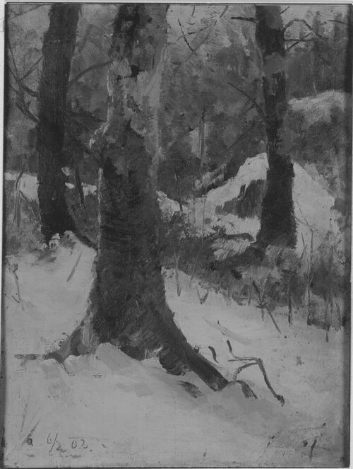 Buchen im Winter, 1902, Arthur Thiele