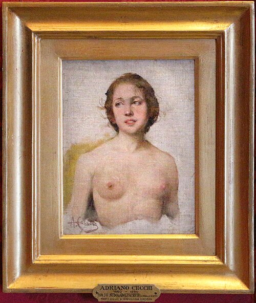 nudo di adolescente (la modella di pitti), , Adriano Cecchi