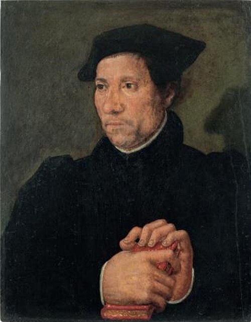 Portrait de Jean Bouvyer, 1550, Jean Cousin l'Ancien