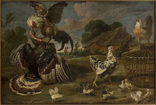 A turkey and a rooster, , Paul de Vos