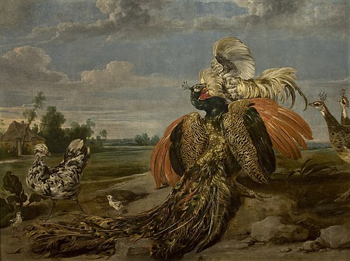 Peacock and Cock Fighting, 1650, Paul de Vos
