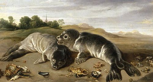 Deux Jeunes Phoques sur un rivage, 1650, Paul de Vos