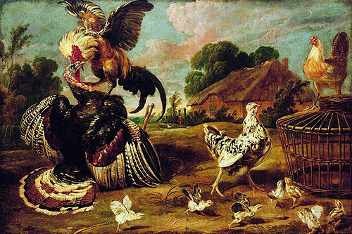 Turkey and rooster., 1630, Paul de Vos
