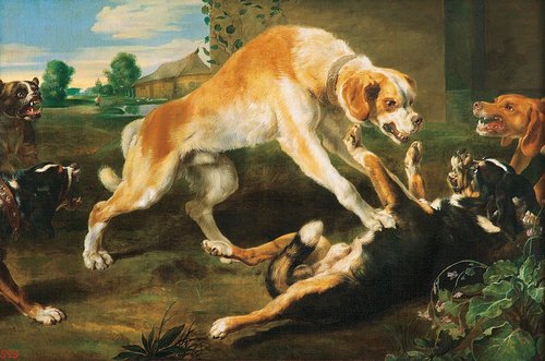 Fighting Dogs, , Paul de Vos