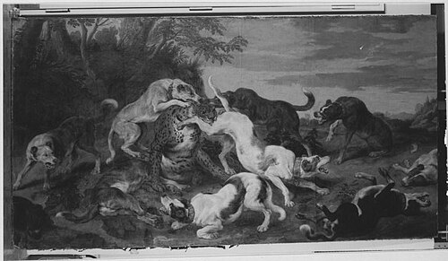 Pantherjagd, 1637, Paul de Vos