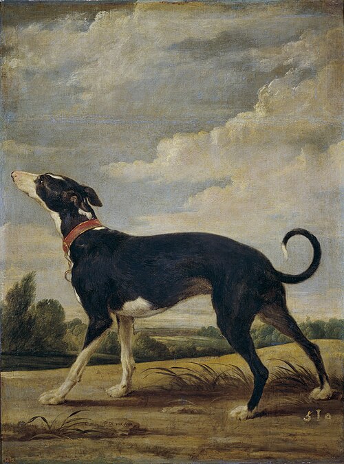 A greyhound on the prowl, 1636, Paul de Vos