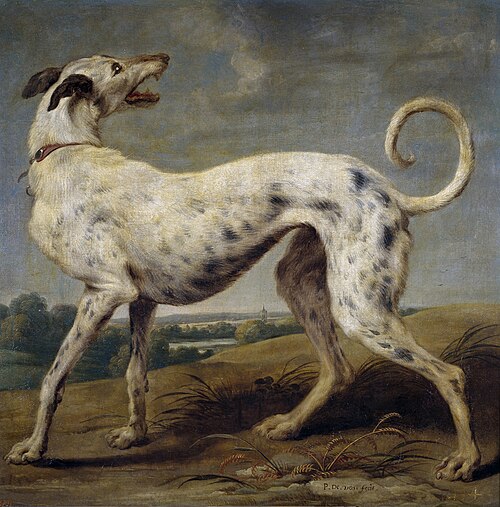 A white greyhound, 1636, Paul de Vos