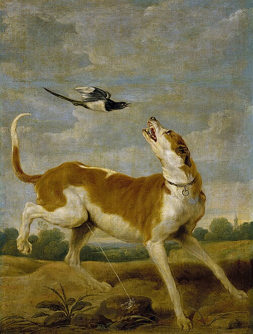 The dog and the magpie, 1636, Paul de Vos