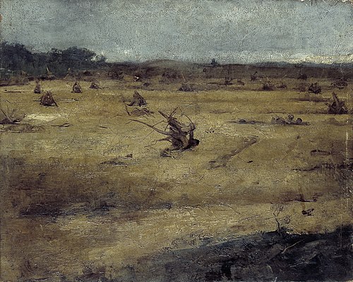 Heidelandschap met boomstronken, 1900, Willem Witsen