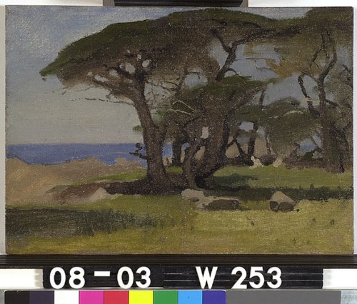 Zeedennen, Monteray Californie, 1915, Willem Witsen
