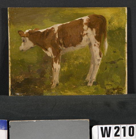 Rood bont kalfje, 1907, Willem Witsen