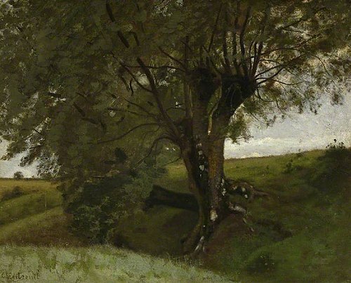 Landscape with an ash tree, 1850, Antoine Chintreuil