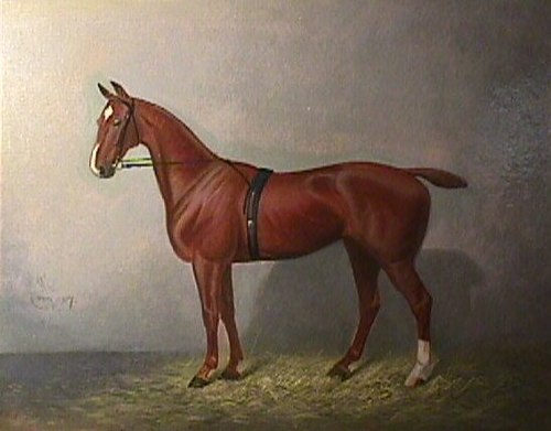 Title Unknown (Painting of a Horse), 1907, 