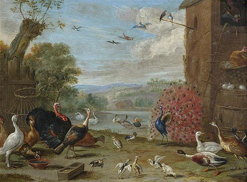 Peacock and Other Birds, 1670, Jan van Kessel le Jeune