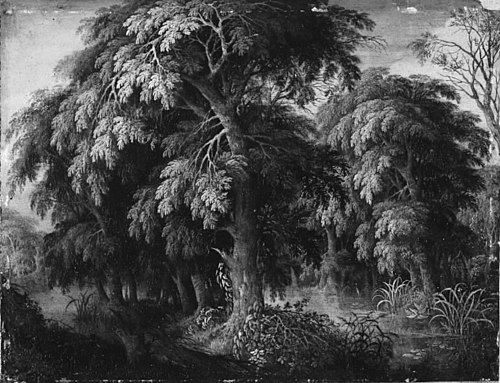 Wooded Landscape, 1617, Alexander Keirincx