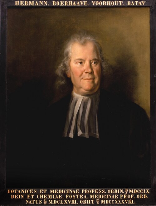 Portrait of Herman Boerhaave, teacher of medicine in Leiden, 1736, Cornelis Troost