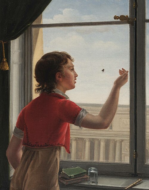 L'Attrapeur de mouches, 1808, Isabelle Pinson