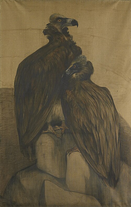 Two Arabian Vultures, 1901, Theodoor van Hoytema