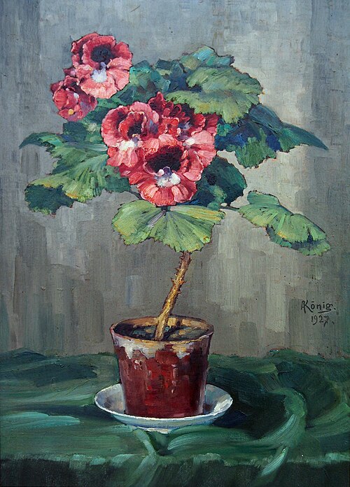 Blume im Topf (Pelargonie), 1927, Albert König