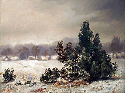 Wacholder im Schnee, 1915, Albert König