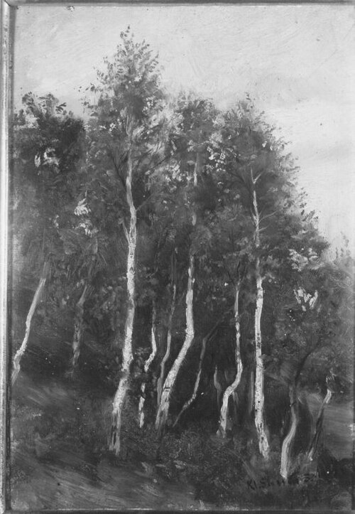 Birkenwald bei Kleinsassen (Rhön), 1873, Albert Lang