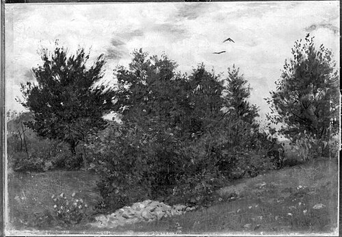 Landschaft (Hügelige Landschaft), 1873, Albert Lang