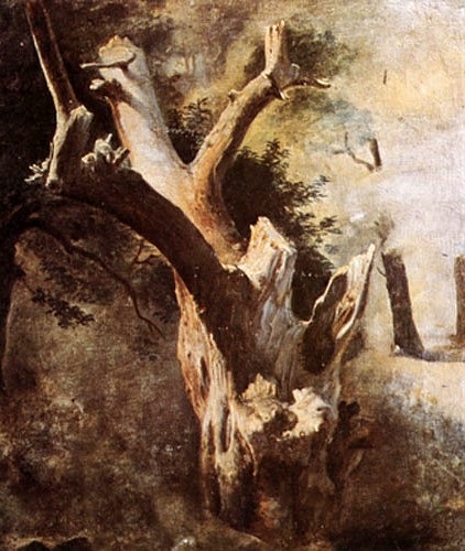 El árbol seco, , Alejandro Cicarelli