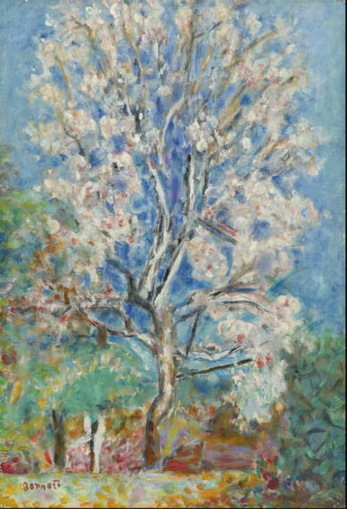 L'Amandier en fleurs, 1930, Pierre Bonnard