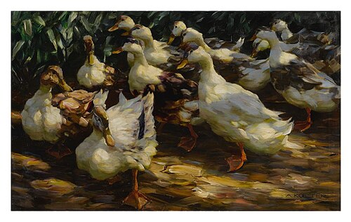 Ducks in Sunlight, , Alexander Koester